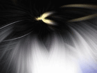 Beni Spin Art