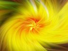 Cactus Flower Spin Art