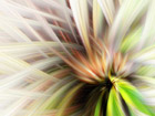 Puff Spin Art