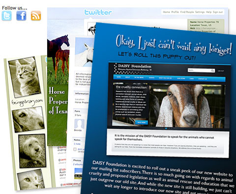 Twitter, Facebook, social media marketing