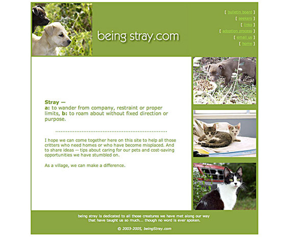 beingstray.com