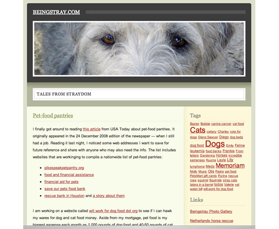 beingstray.com