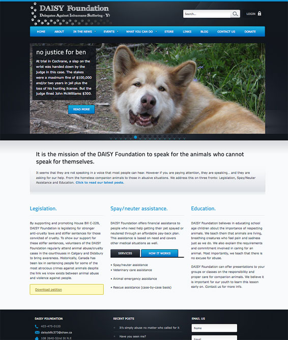 Daisy Foundation