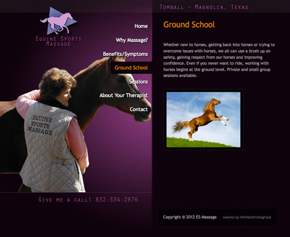 Equine Sports Massage
